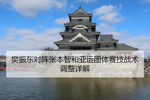 樊振东对阵张本智和亚运团体赛技战术调整详解（k1）